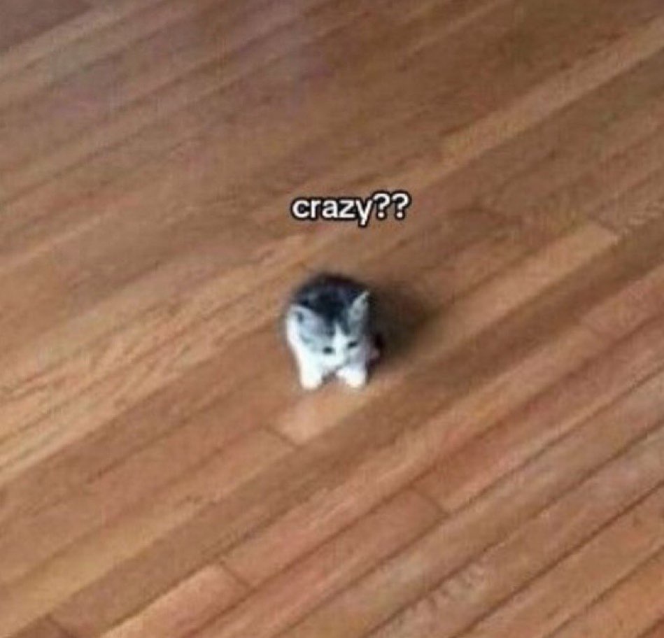 Punch Cat tweet media