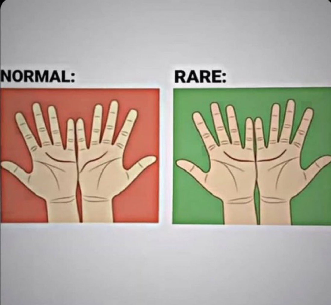 Mindful Journey 🌸🙌🏻 tweet media