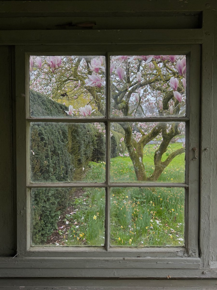 Dr Ally Louks tweet media