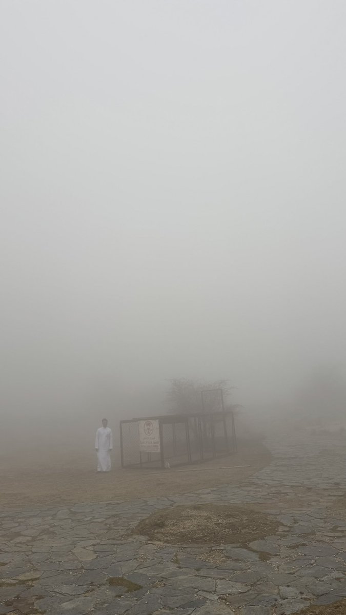 مشاري 🇸🇦 tweet media