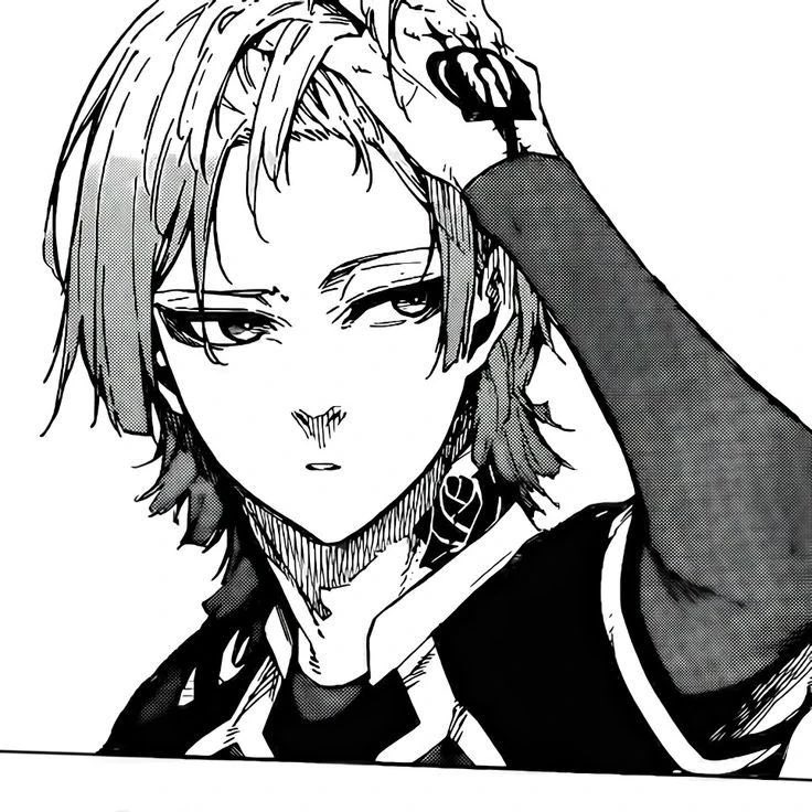 nova kayn tweet media