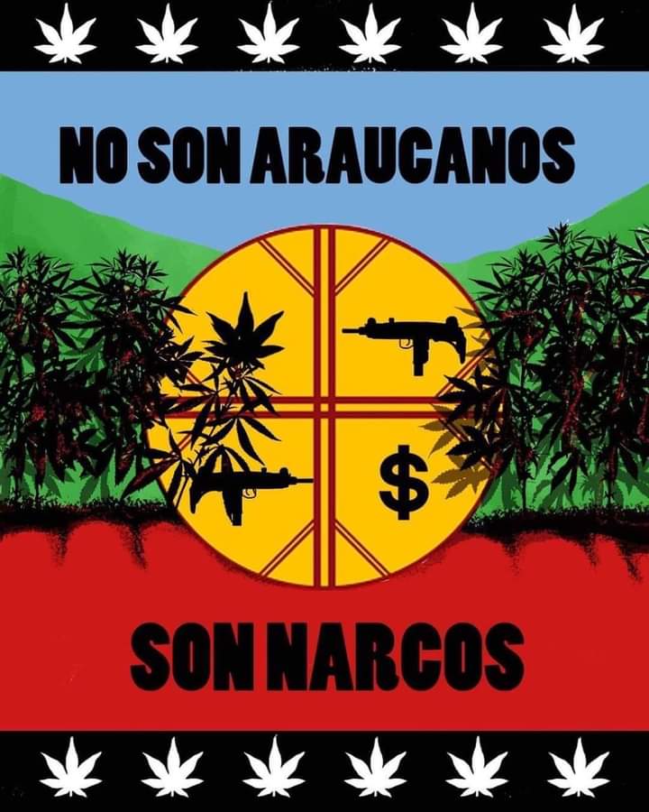 Flaca💪🇨🇱🇨🇱💚💚 tweet media