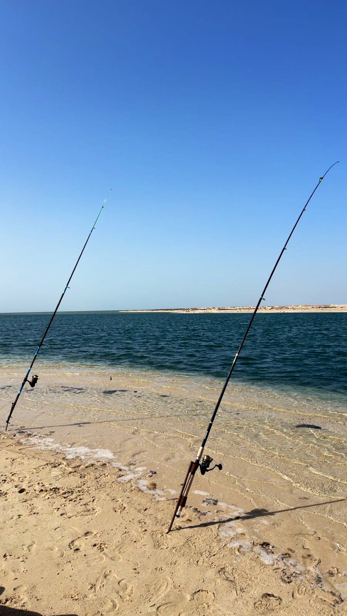 OSAMA | 🚑 tweet media