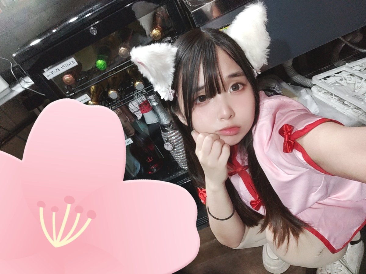 こはね🩵🪽 ギルド赤坂見附 tweet media