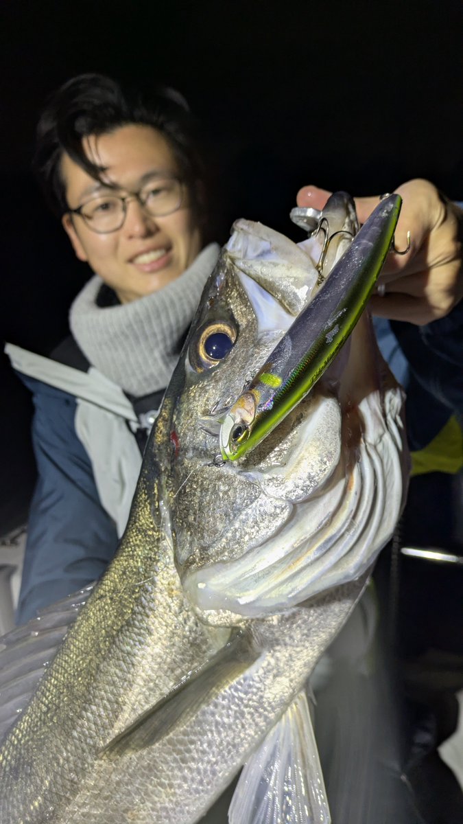 星 直希-Hoshi Naoki-🐟️ tweet media