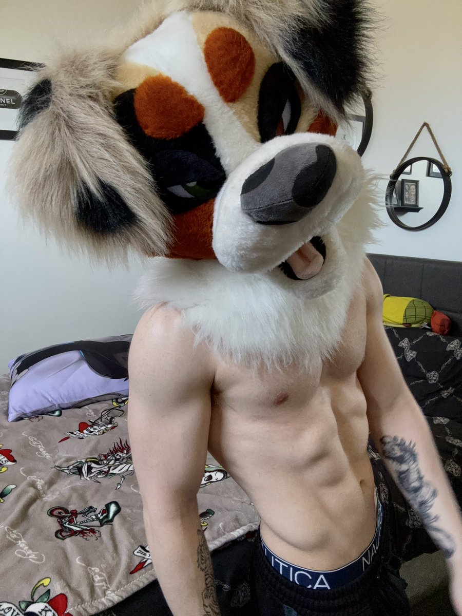 Koda’s EVIL Account 🔞 tweet media