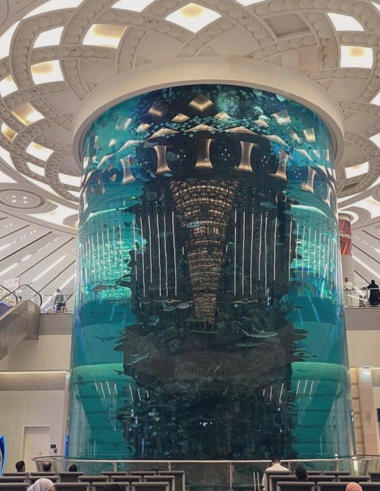 كبلز M💕N زوجين tweet media