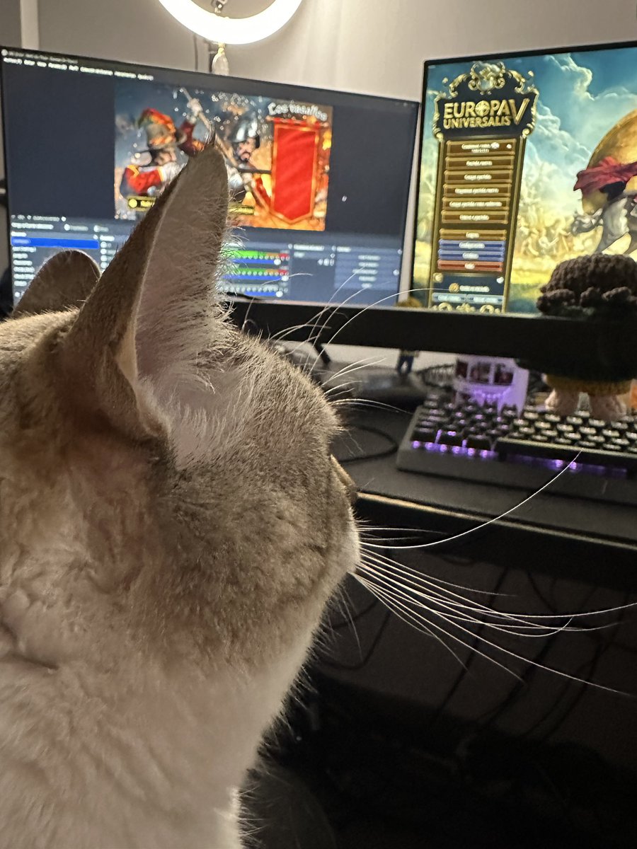 Arturo ✨🏰 tweet media