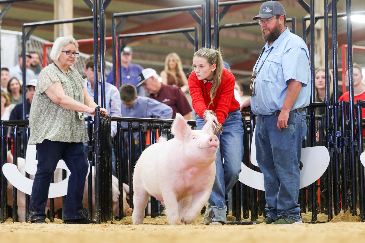 Tellito👉🏽 Day 1 DF #204 tweet media