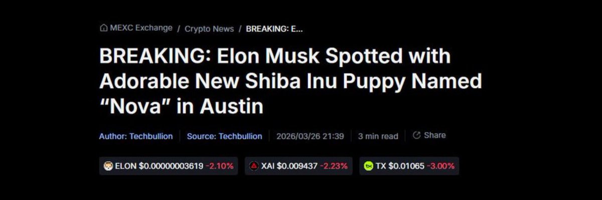 Alpha wallet 4 tweet media