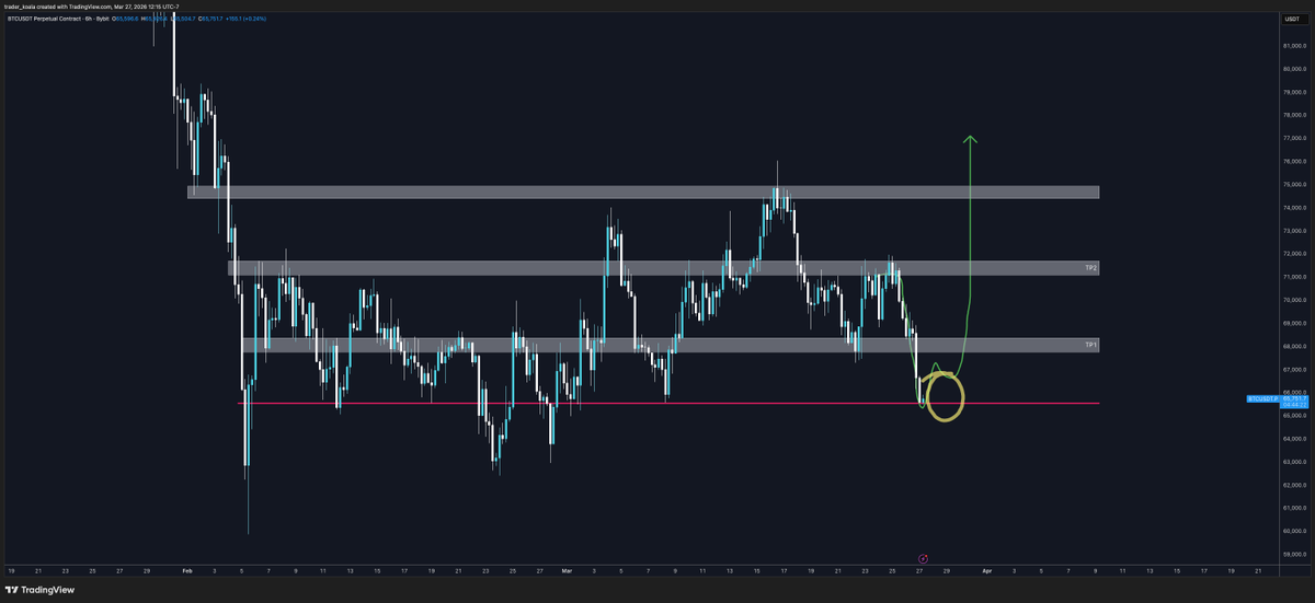 Trader Koala tweet media