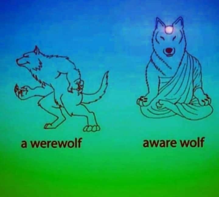 Cauã 🇵🇸 tweet media