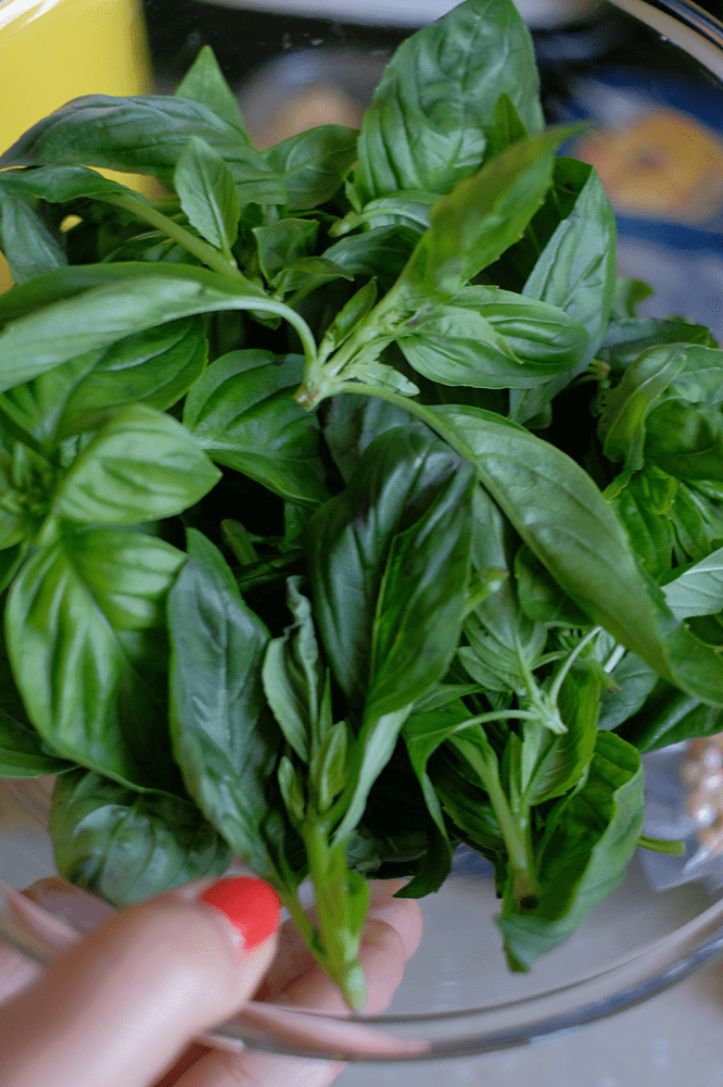 Rashaad Williams tweet media