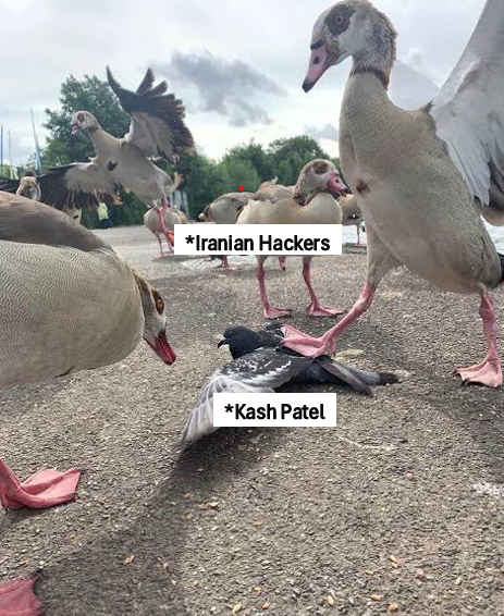 Funance_and_Tax's tweet photo. @IntCyberDigest Thats fucked up man https://t.co/avN9JZ4Z8o