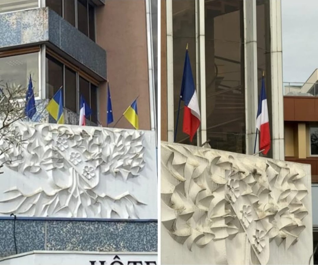 Manon 🇨🇵 🕊 tweet media