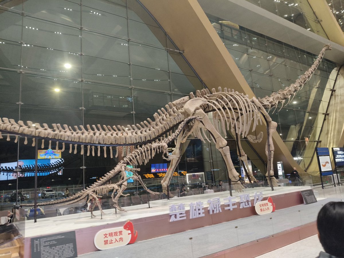 zerofid【Commission : Close】 tweet media