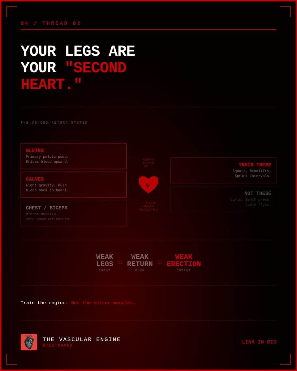 TestoApex | Vascular Engine tweet media