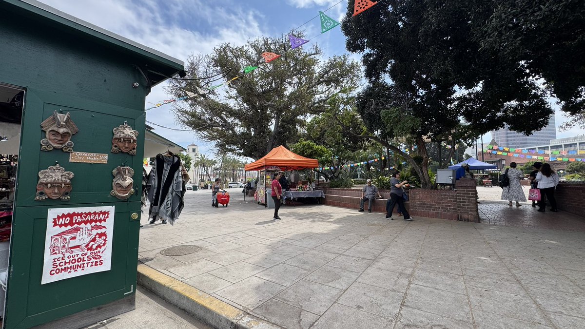 lizzie serber tweet media