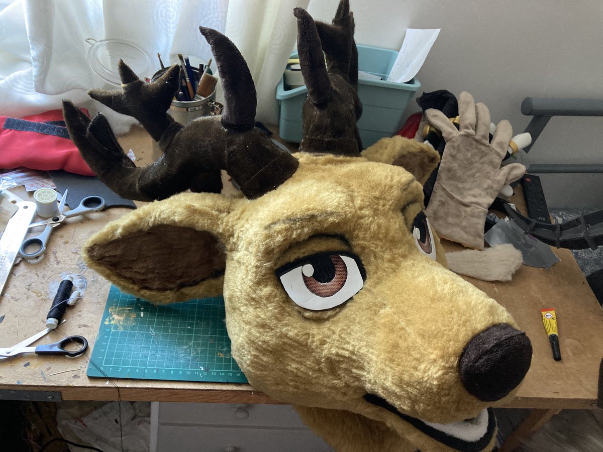 RYDO🔜 ??? tweet media