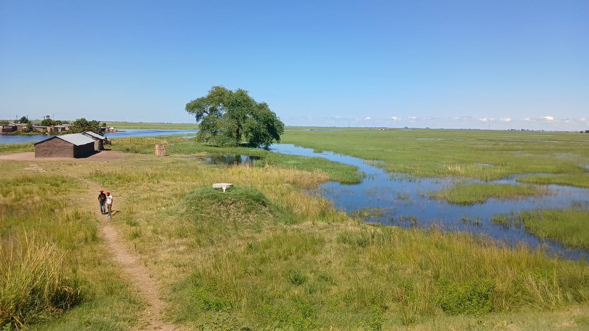 Mwaba Mwila Adventures tweet media