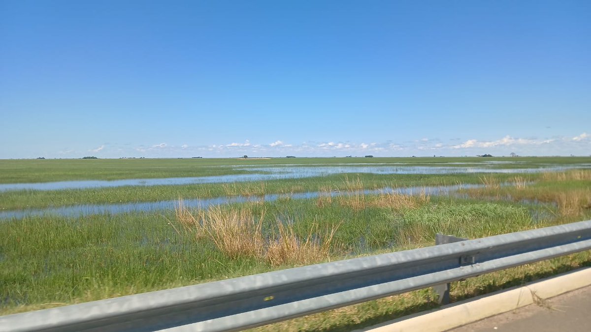 Mwaba Mwila Adventures tweet media