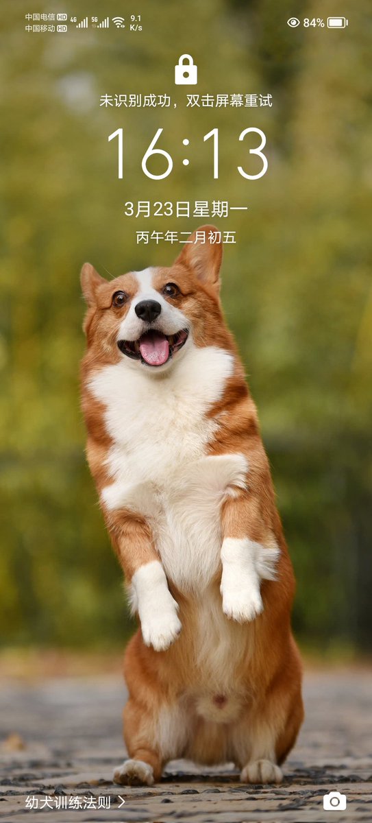大漠漠丶 tweet media