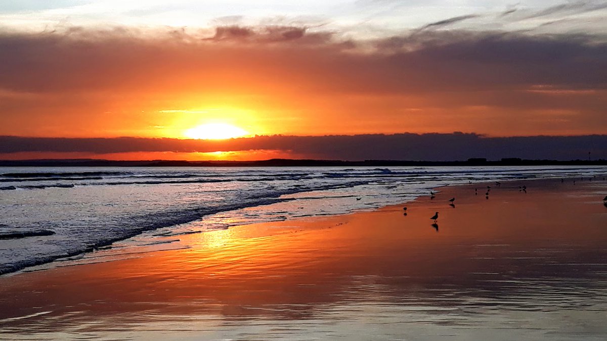 James_Hawke1's tweet image. Knowledge Was A Lie.
(power &amp;amp; control)

• The state of not walking this earth with big explanations for sun, moon, earth, and stars is the most truly authentic and liberating state of mind and heart there can be.

Consider all they told you.

Now throw it out. 🦋
#wonder
