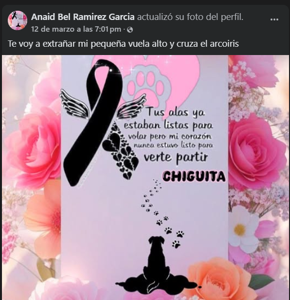 𝖁𝖊𝖗ó𝖓𝖎𝖈𝖆 𝕯𝖊𝖒𝖔𝖓𝖎𝖆 tweet media