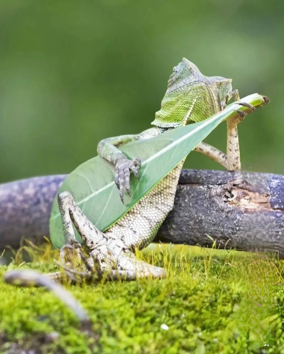 Make It Happen tweet media