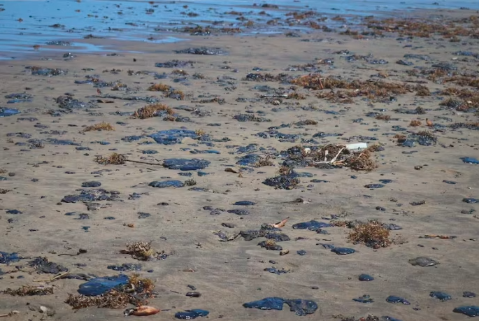 Espejo del Poder tweet media