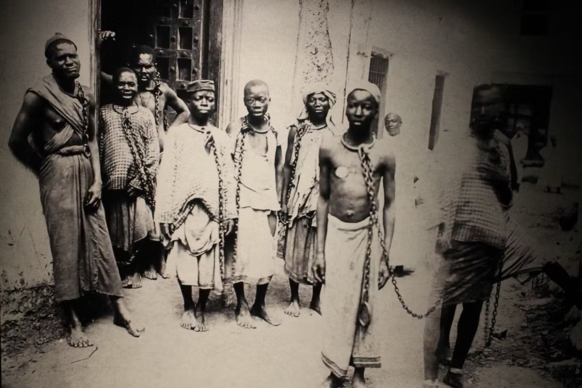 Eli II 🏴‍☠️ tweet media