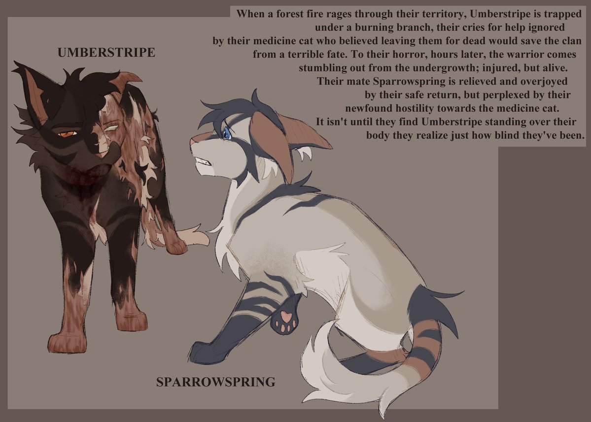 aster !! 🌻 tweet media