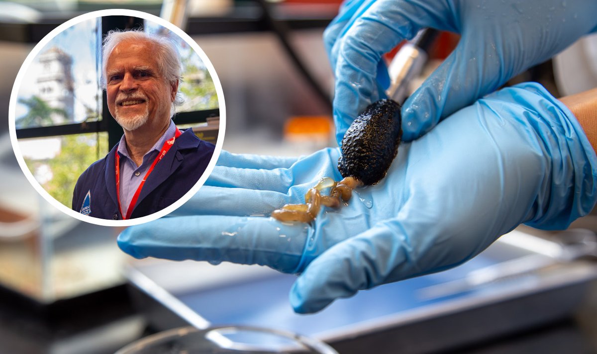 UPR Río Piedras tweet media