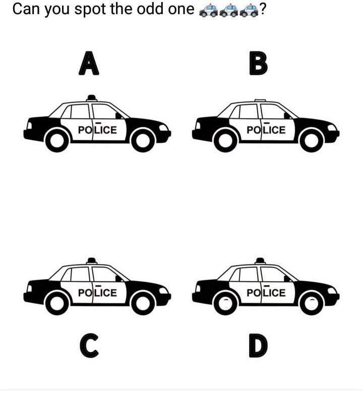 (FAN) Elon musk fanatic tweet media