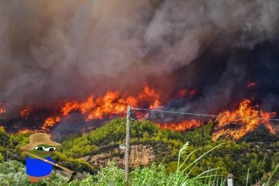 Apu Apustaja tweet media