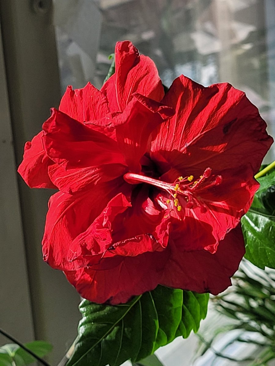 Leila Lundström tweet media