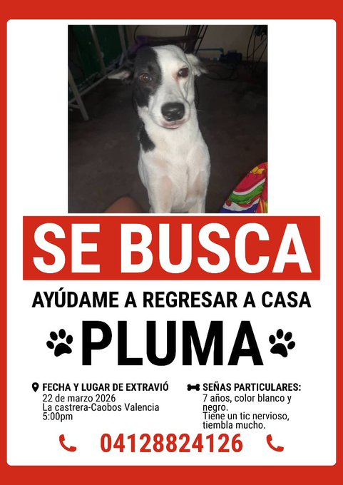 BettySoto tweet media