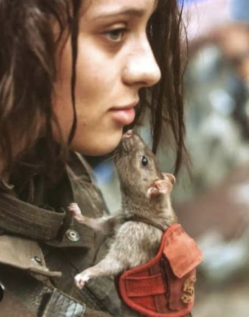 aweber91 tweet media