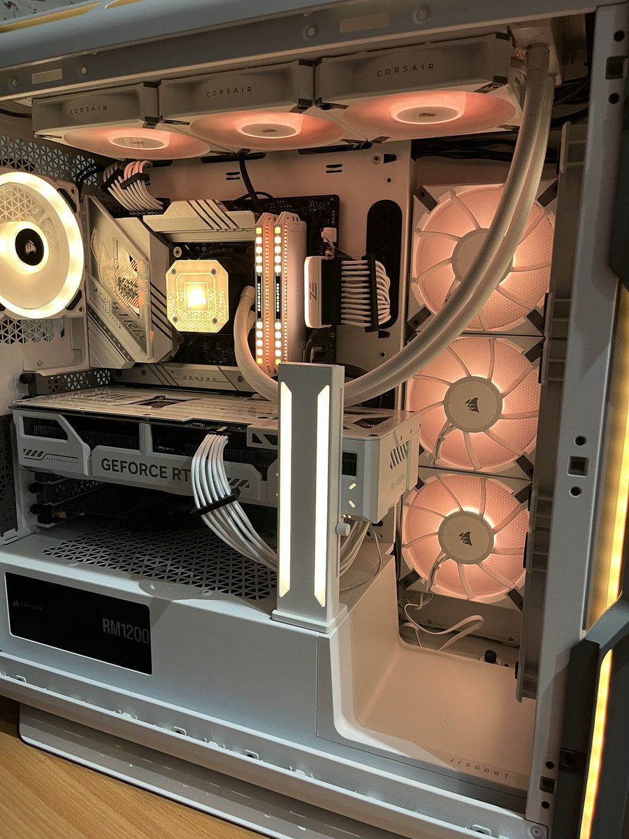 Lumi The Lizard tweet media