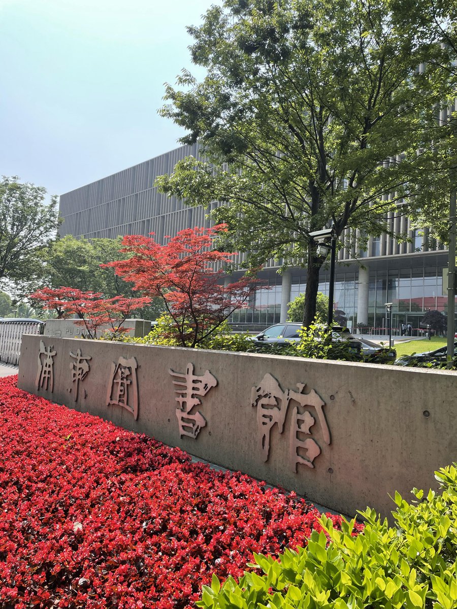 shareka corley tweet media