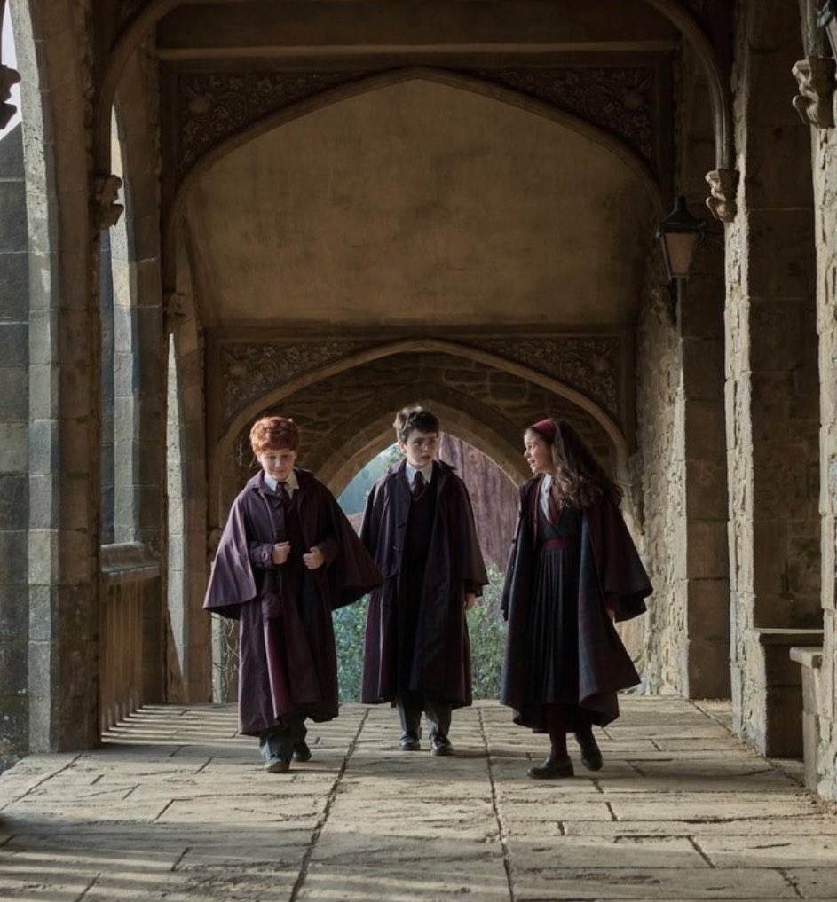 acervo harry potter tweet media