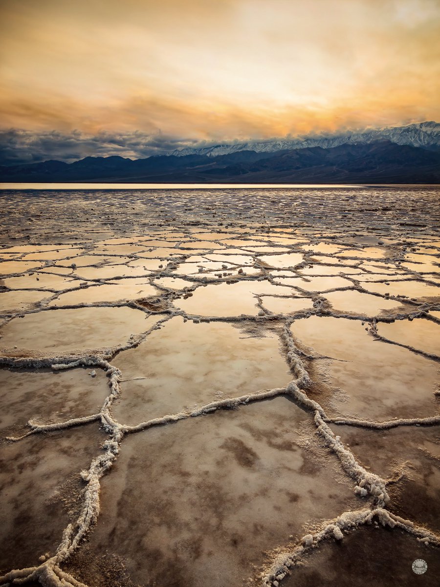 Legendaryvisionzinc tweet media