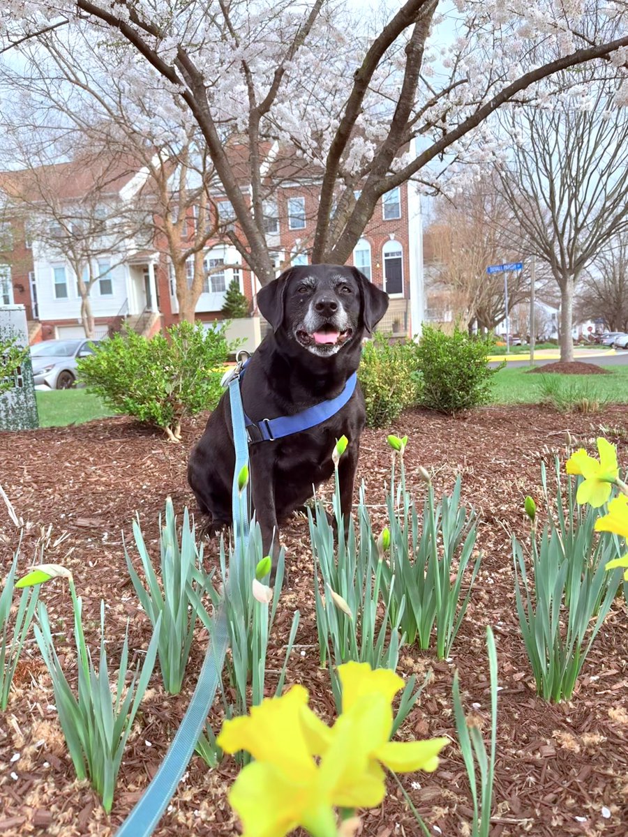 Chris - The Vibe-Based Systems Engineer™️ tweet media