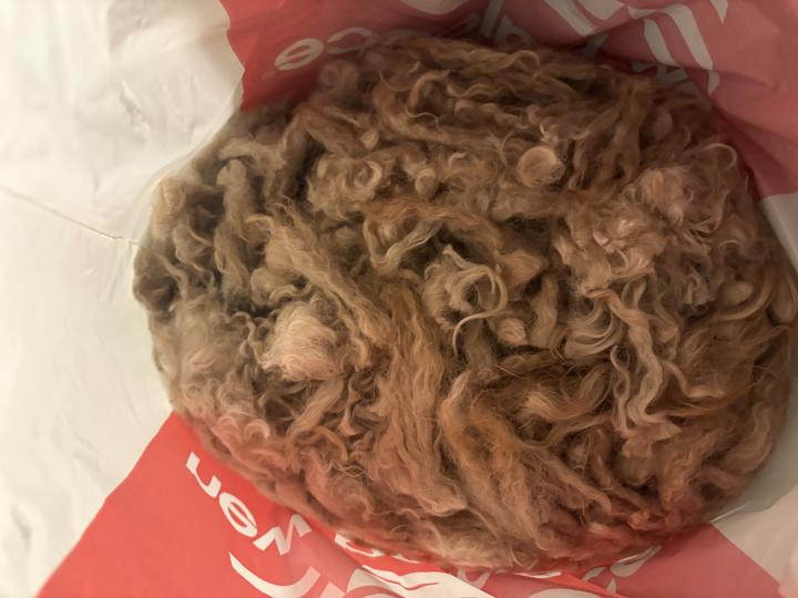 MatterOfTrust's tweet image. Thanks to Chris Catauro
Nashville, Tennessee, United States
for the donation of Doodle hair
"Owens is a special dog that loves pets and wants to help his human friends"
to donate hair/fur/lint/cork follow link matteroftrust.org/donate-hair-fu…
#HairMats #hair #recycle #petfur
