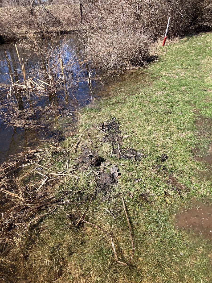 Bluetickguy🇺🇸 tweet media