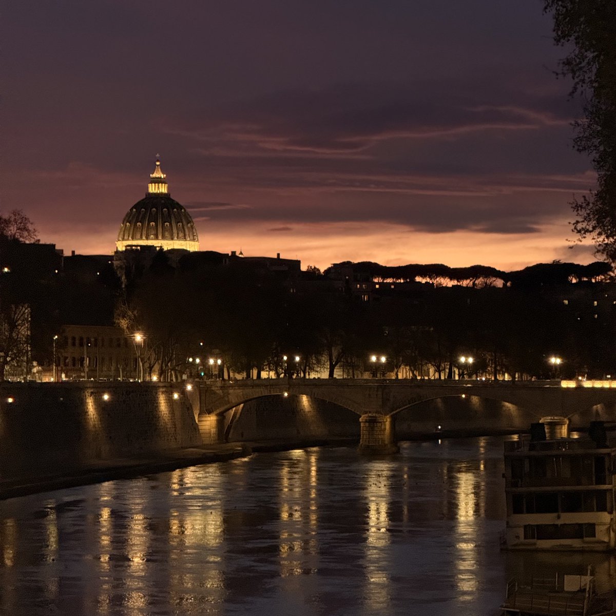 RMTN 🇮🇷 tweet media