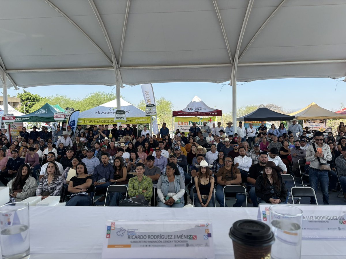 Ricardo Rodríguez tweet media