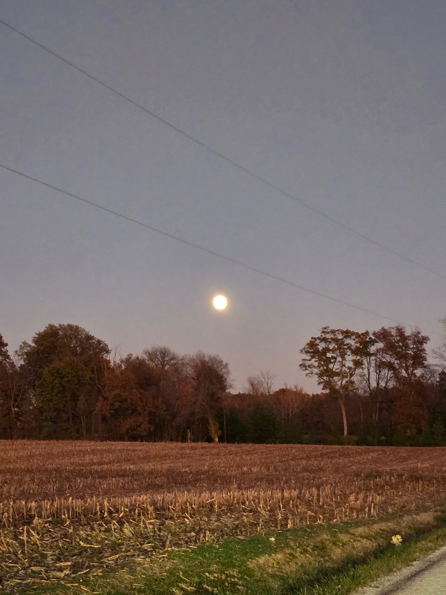 Goodman251_'s tweet photo. A walk in nature walks the soul back home https://t.co/cfzBeINsFz