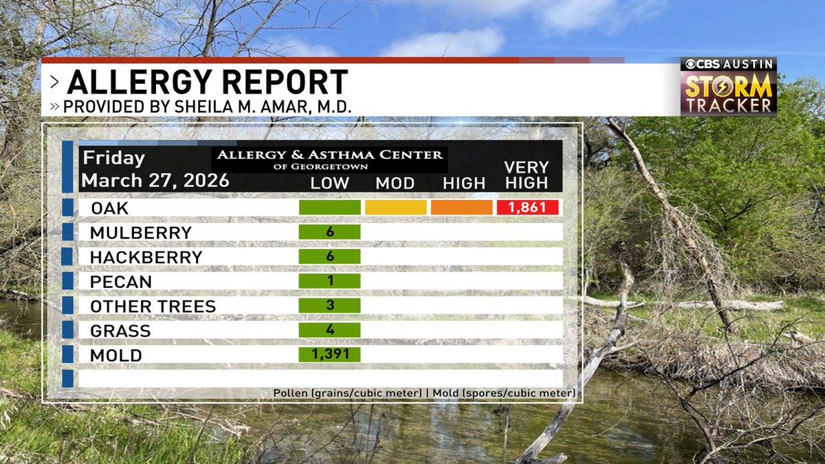 ChikageWeather's tweet image. (1) Blame it on oak. (2) Blame it on the incoming cold front which whips up the winds. #allergies #atx #atxallergies cbsaustin.com/weather/cbs-au…