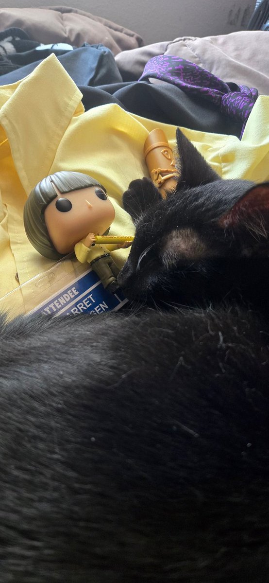 Bruise Wang tweet media